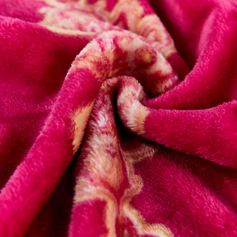 20200702 汇尔嘉1000