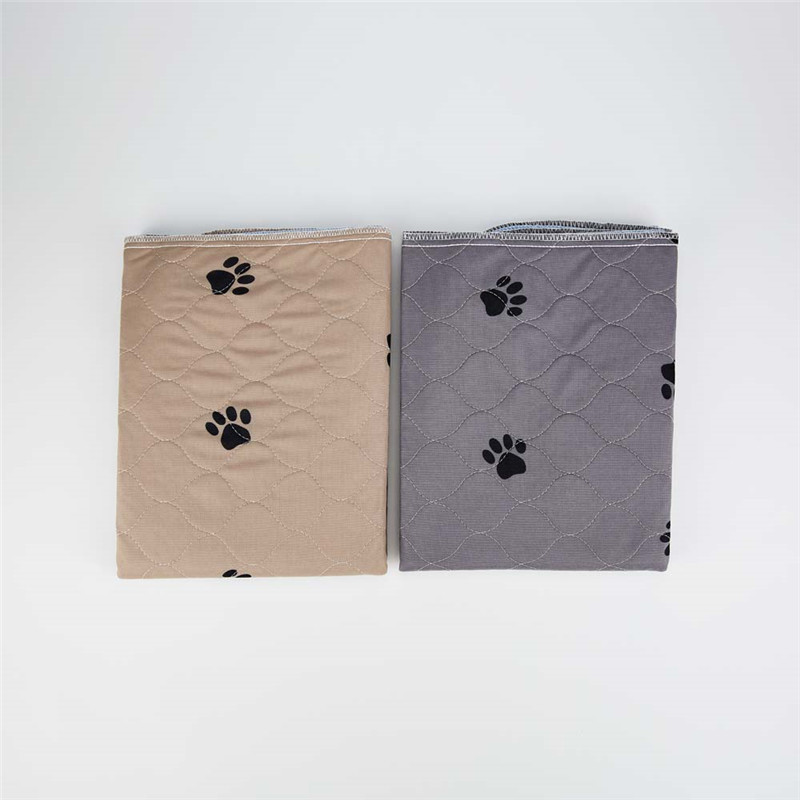 20200711 汇尔嘉1376