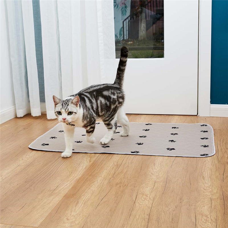 20200711 汇尔嘉1597