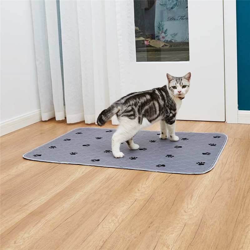 20200711 汇尔嘉1615