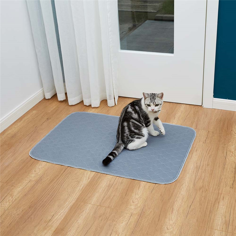 20200711 汇尔嘉1639