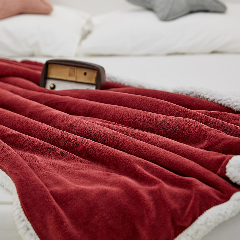 280gsm 100 polyester printed soft feeling Flannel blanket (9)