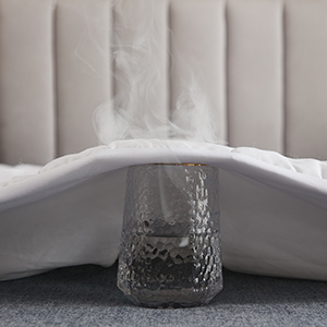 8e479ee2_6015_4141_8bd5_e1d4f3eba688