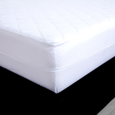 What is a Mattress Protector (3)