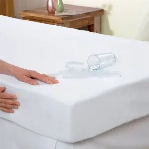 What is a Mattress Protector (3)
